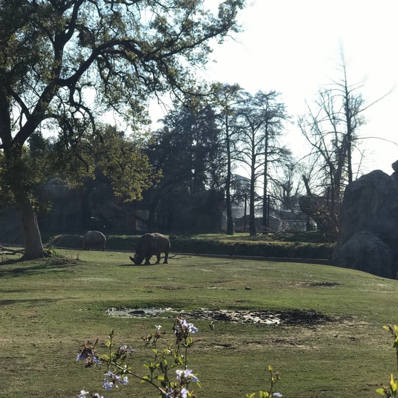 Meet your Posher, Rach - Picture 2 of 3